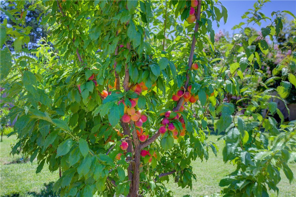 4513 E Tuolumne Rd, Denair, CA 95316