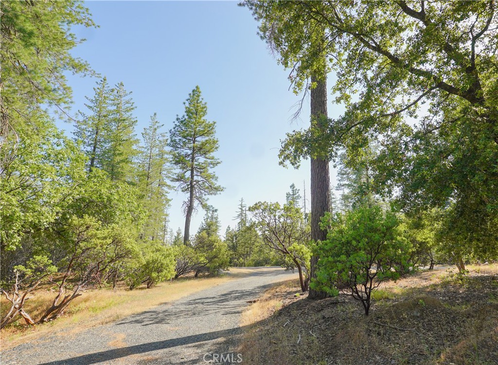 5990 Sugar Pine Dr, Coulterville, CA 95311