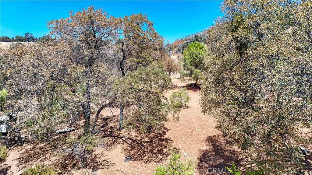 3013 Trower Rd, Catheys Valley, CA 95306