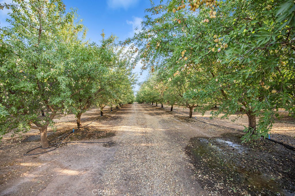 14950 Buchanan Hollow Rd, Le Grand, CA 95333