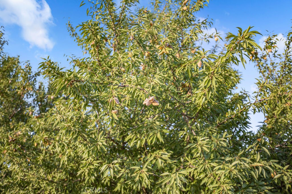 14950 Buchanan Hollow Rd, Le Grand, CA 95333