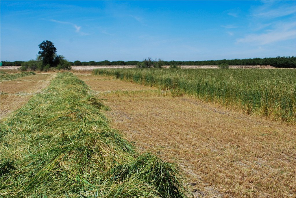 0 Hogin Rd, Turlock, CA 95382