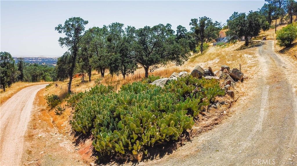 3173 Elizabeth Ln, Catheys Valley, CA 95306