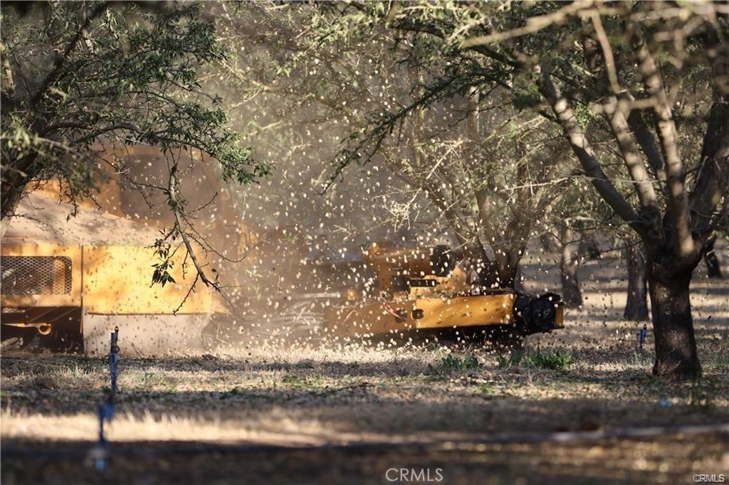 4 Silver Ridge, Denair, CA 95316