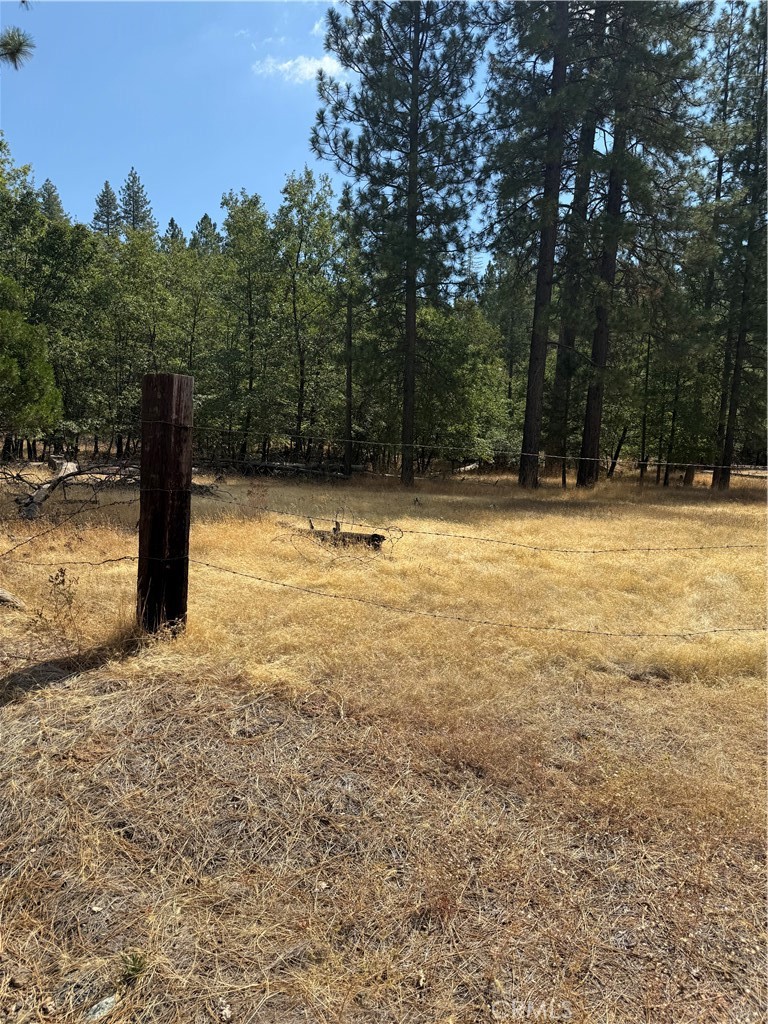 6479 Pine Dr, Coulterville, CA 95311