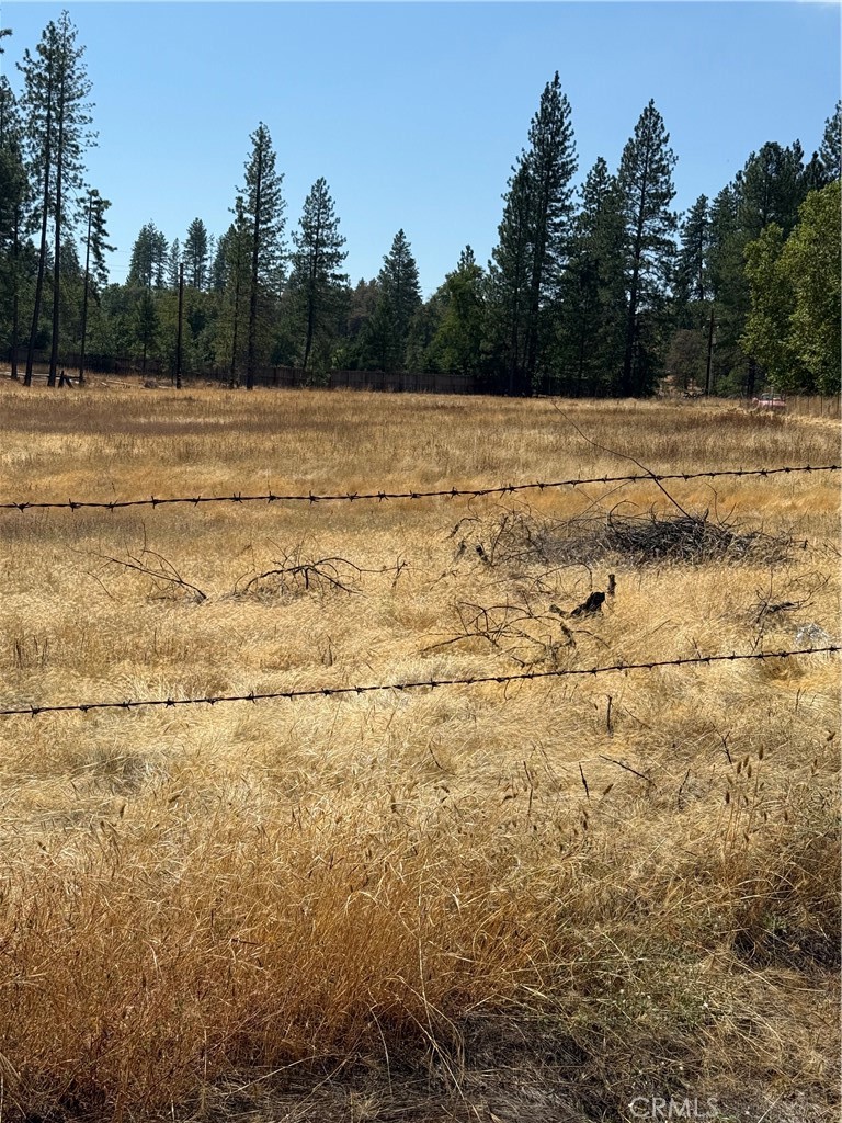 6479 Pine Dr, Coulterville, CA 95311