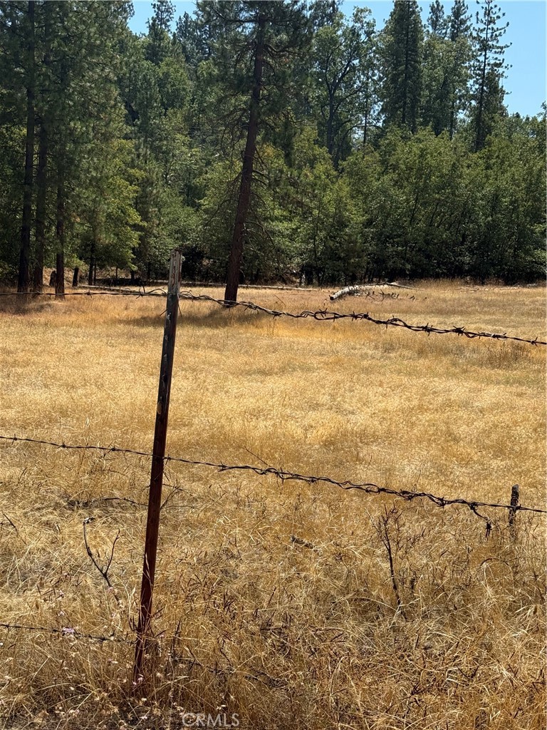 6479 Pine Dr, Coulterville, CA 95311