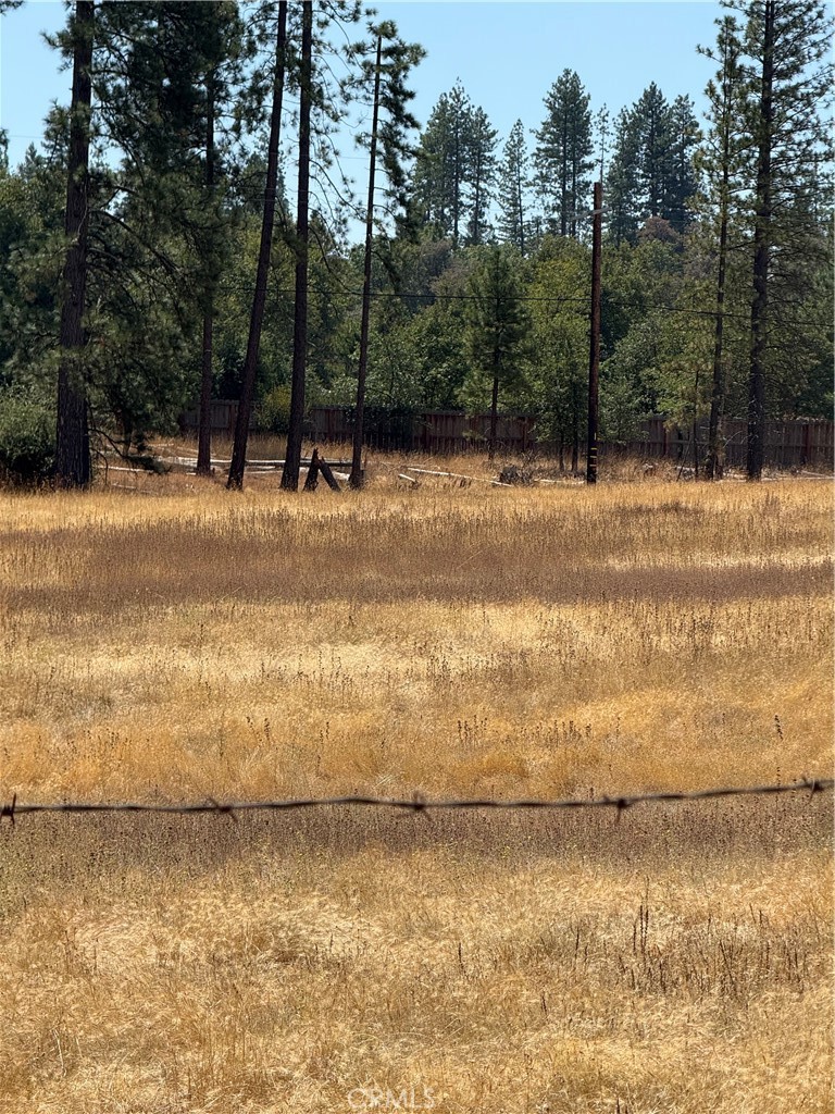 6479 Pine Dr, Coulterville, CA 95311