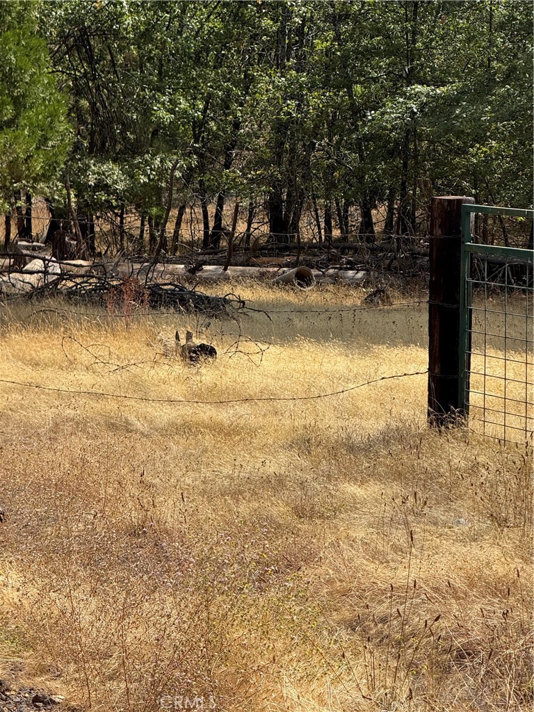 6479 Pine Dr, Coulterville, CA 95311