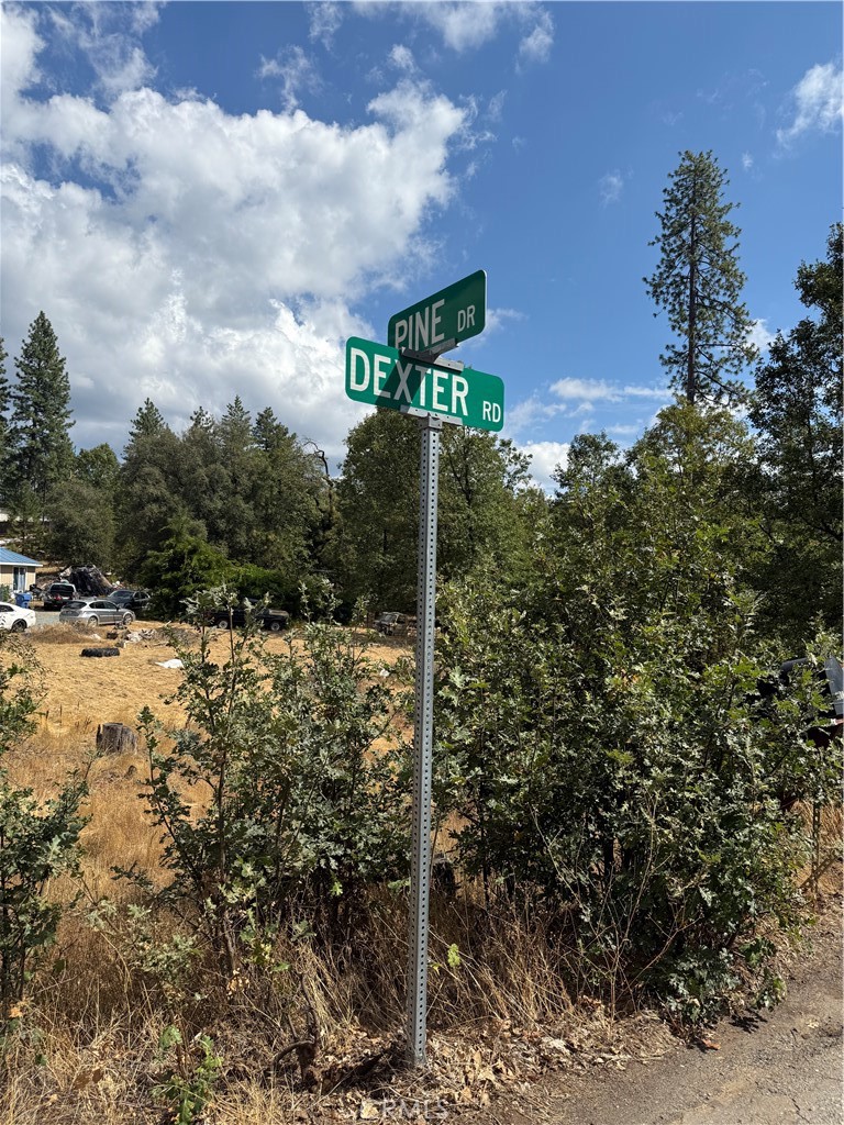 6479 Pine Dr, Coulterville, CA 95311