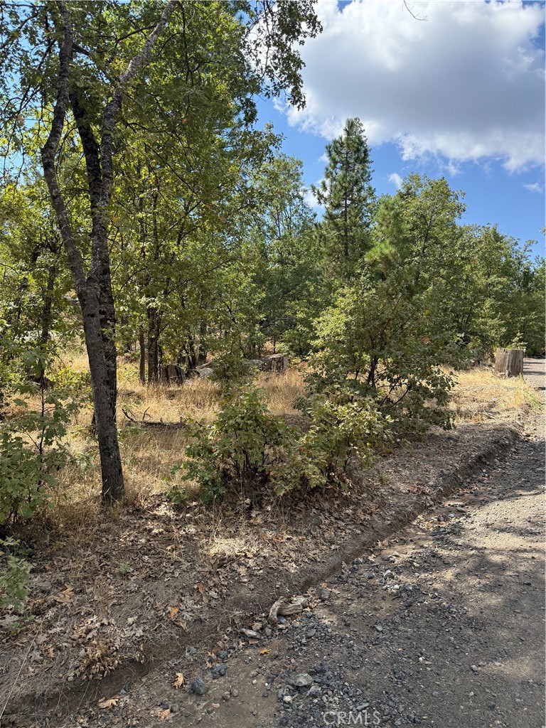 6479 Pine Dr, Coulterville, CA 95311