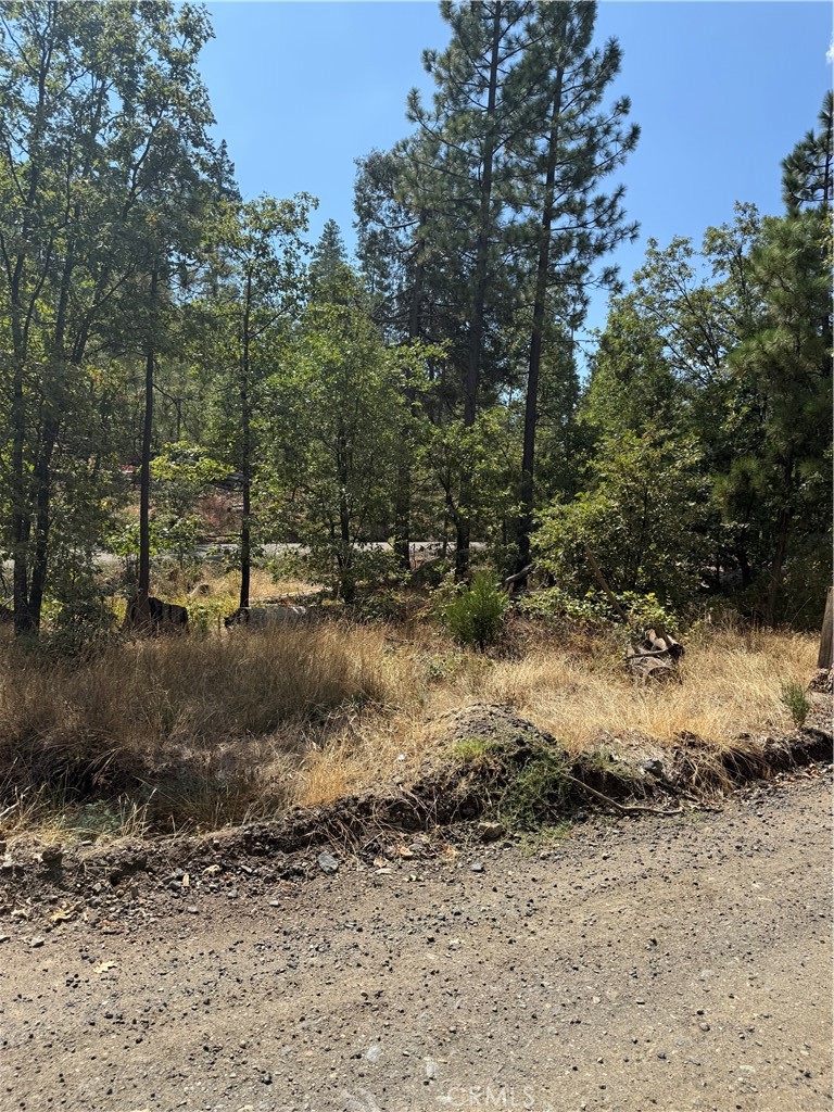 6479 Pine Dr, Coulterville, CA 95311