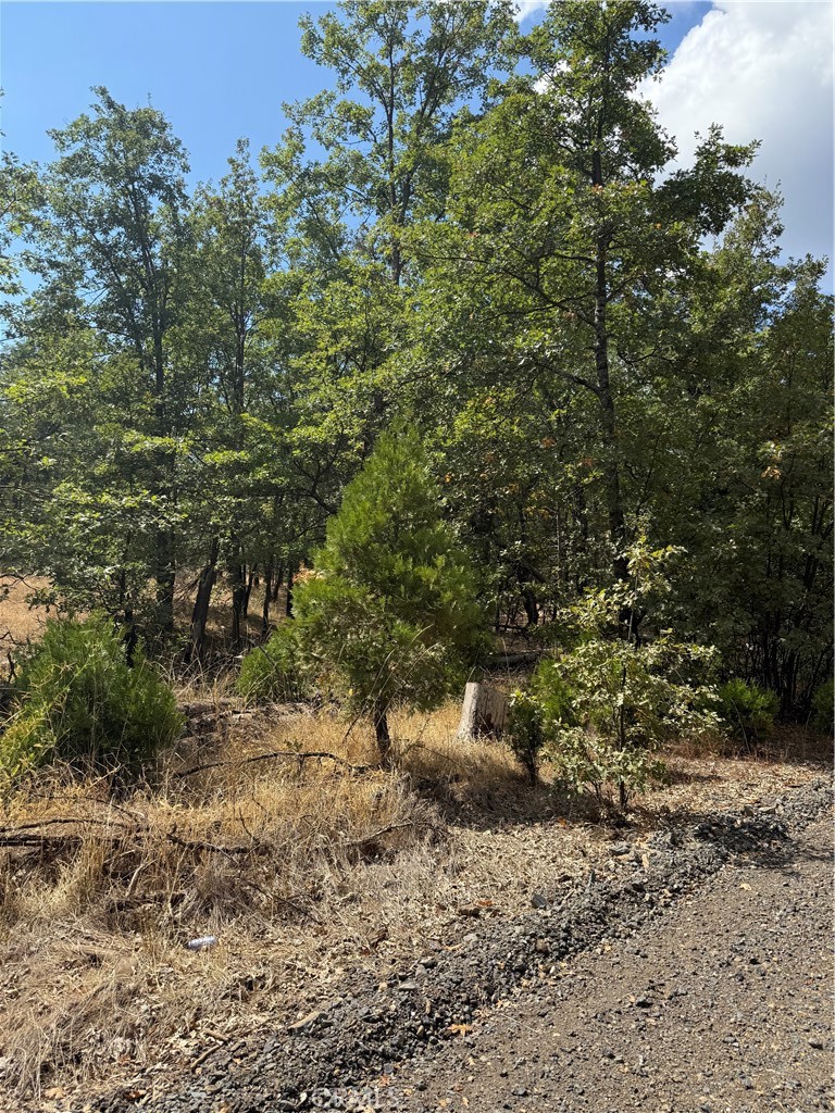 6479 Pine Dr, Coulterville, CA 95311