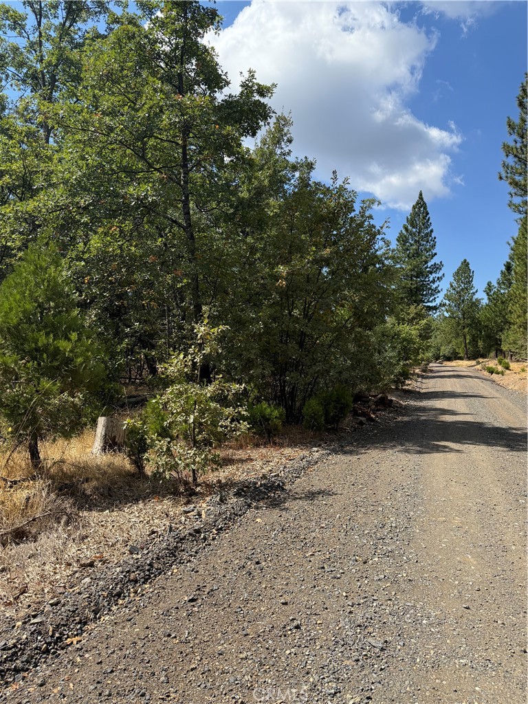 6479 Pine Dr, Coulterville, CA 95311