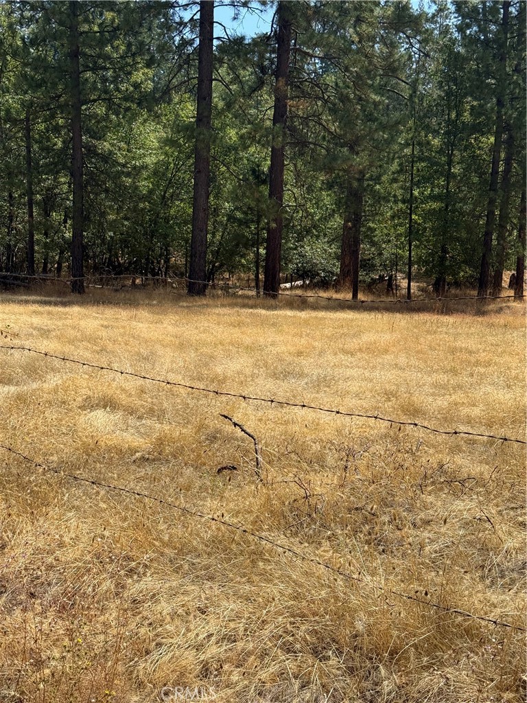 6479 Pine Dr, Coulterville, CA 95311