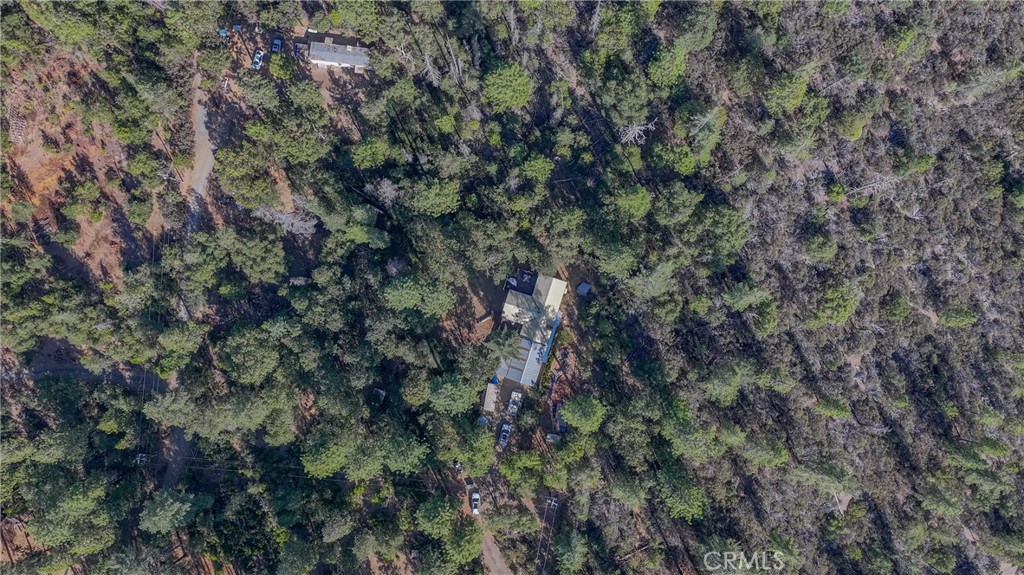 10038 Holtzel, Coulterville, CA 95311