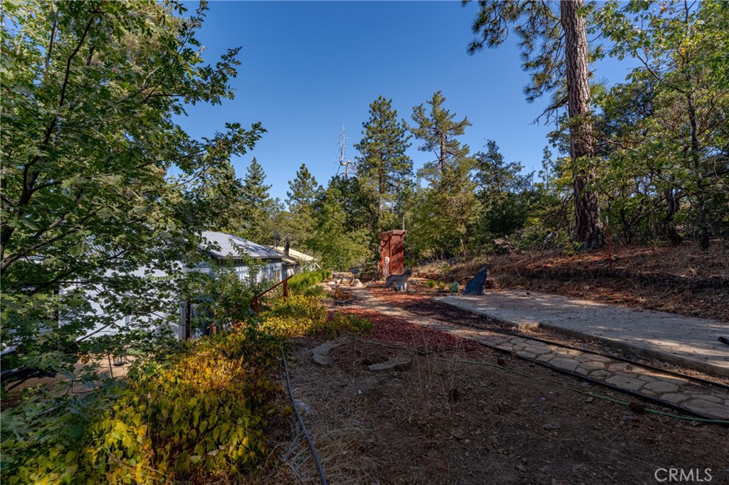 10038 Holtzel, Coulterville, CA 95311