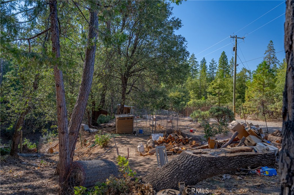 10038 Holtzel, Coulterville, CA 95311
