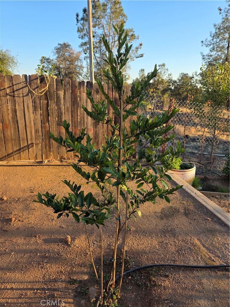 4760 Hirsch #B, Mariposa, CA 95338