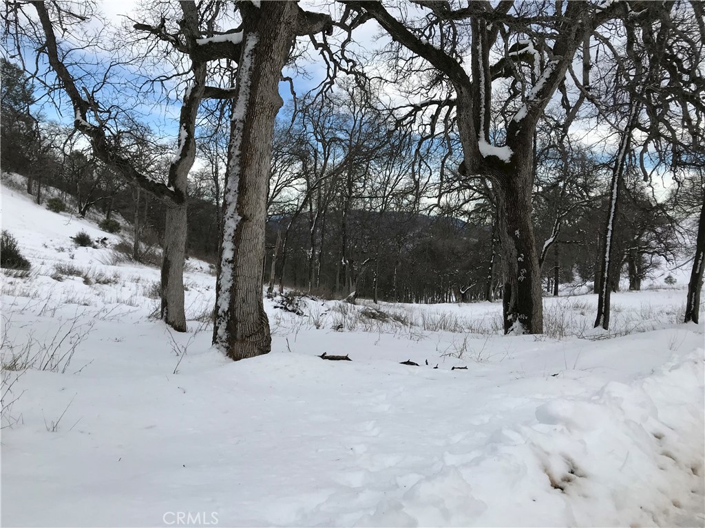 38088 Serpa Canyon Rd, Coarsegold, CA 93614