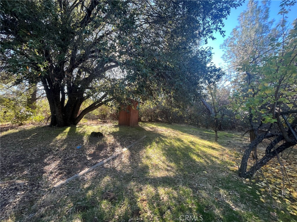3877 Deer Springs Rd, Mariposa, CA 95338
