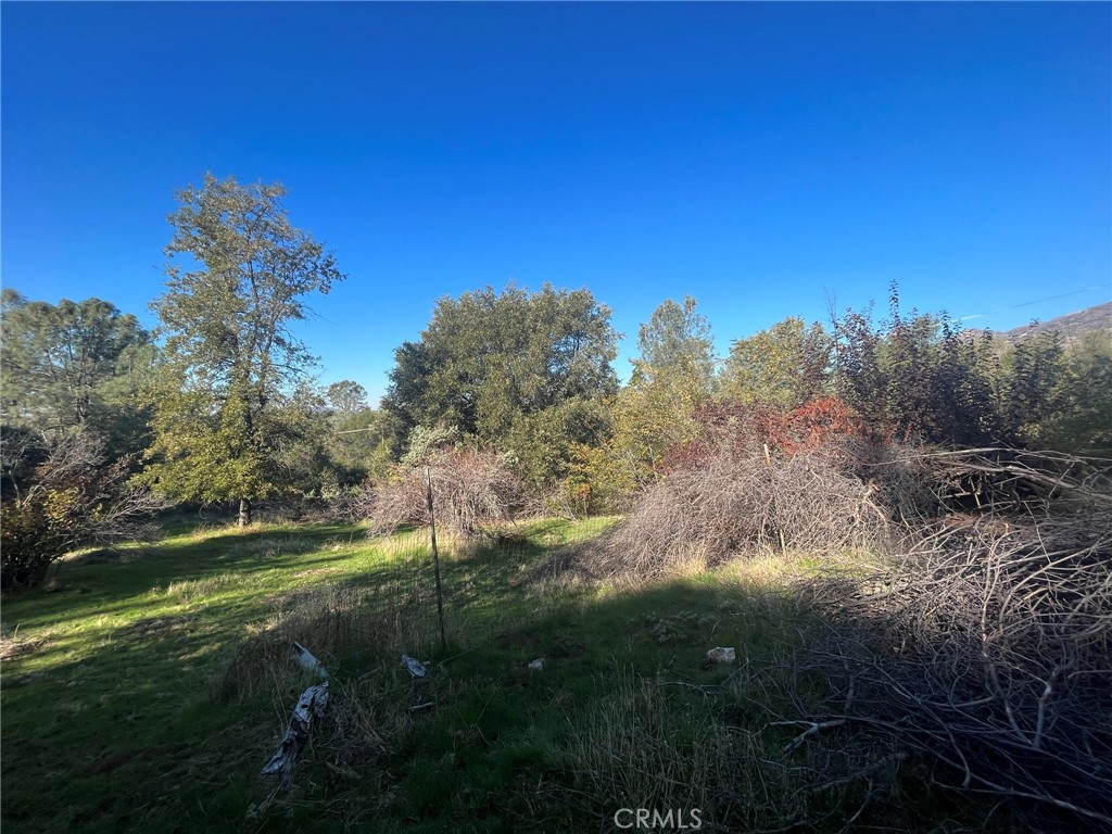 3877 Deer Springs Rd, Mariposa, CA 95338