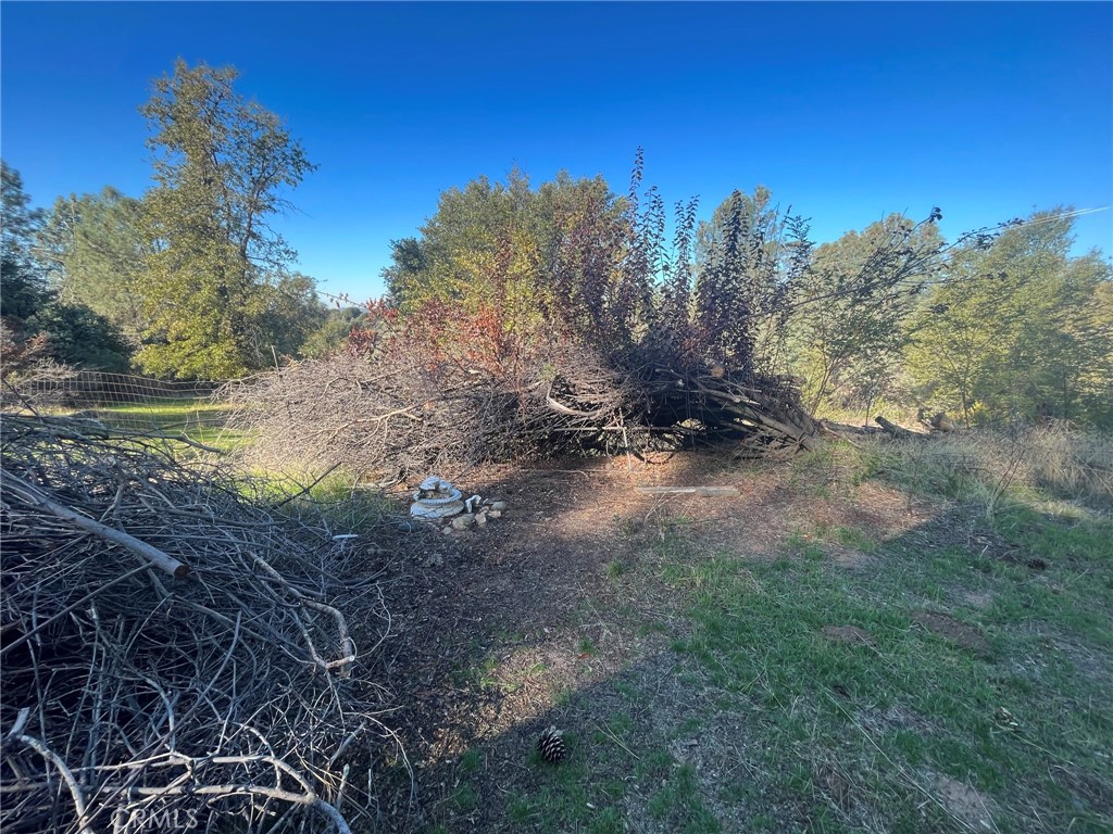 3877 Deer Springs Rd, Mariposa, CA 95338