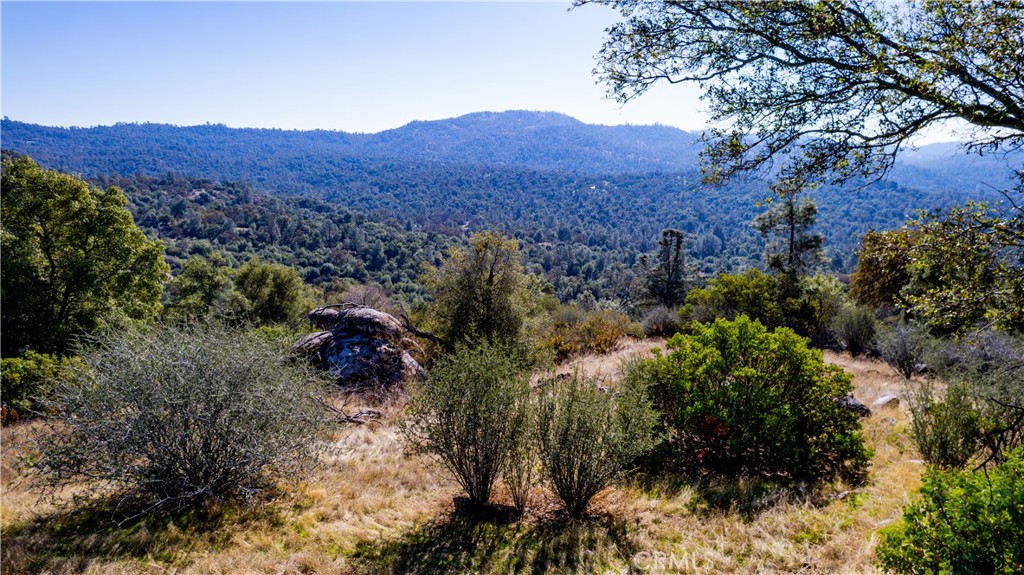 4658 Little Bear, Mariposa, CA 95338