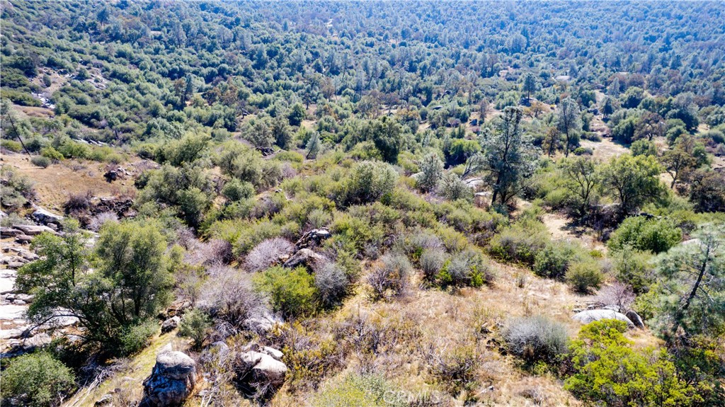 4658 Little Bear, Mariposa, CA 95338