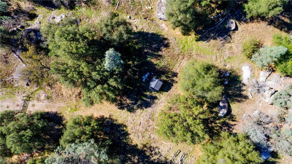 4658 Little Bear, Mariposa, CA 95338