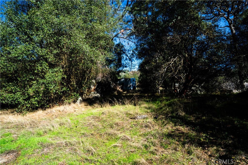 4658 Little Bear, Mariposa, CA 95338