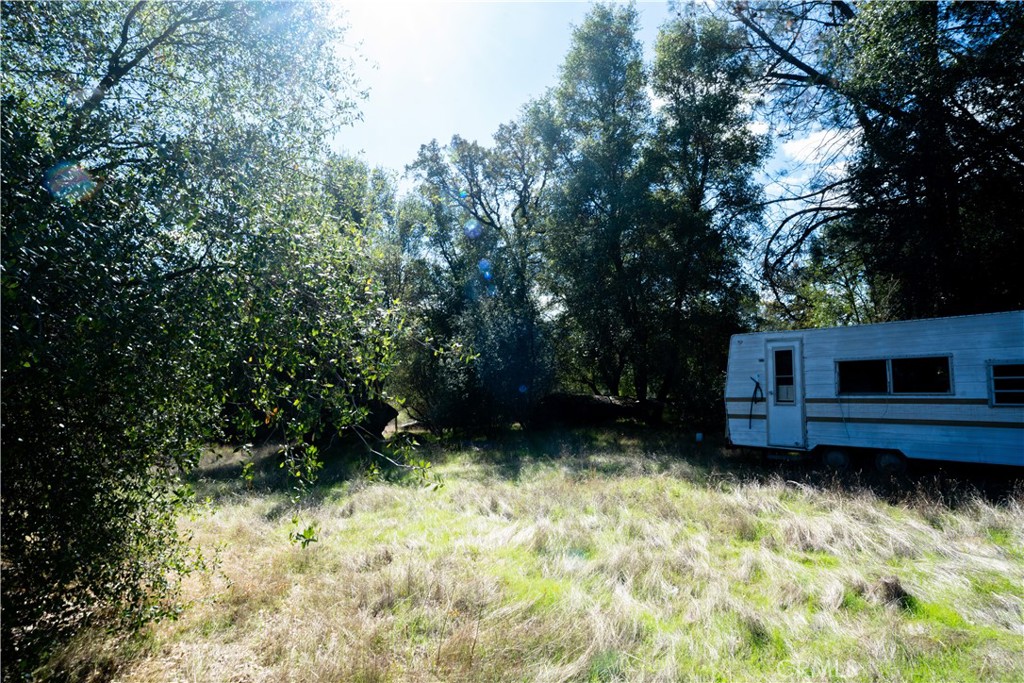 4658 Little Bear, Mariposa, CA 95338