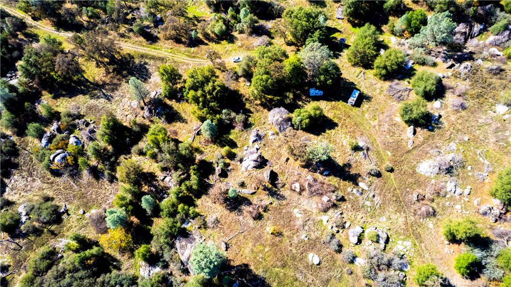 4658 Little Bear, Mariposa, CA 95338