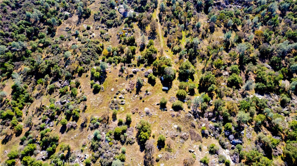 4658 Little Bear, Mariposa, CA 95338