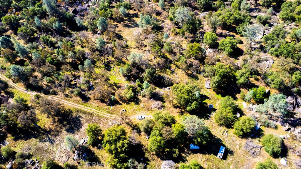 4658 Little Bear, Mariposa, CA 95338