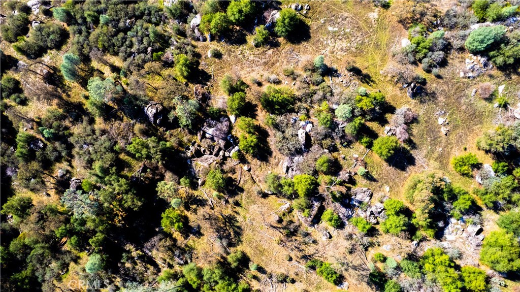 4658 Little Bear, Mariposa, CA 95338