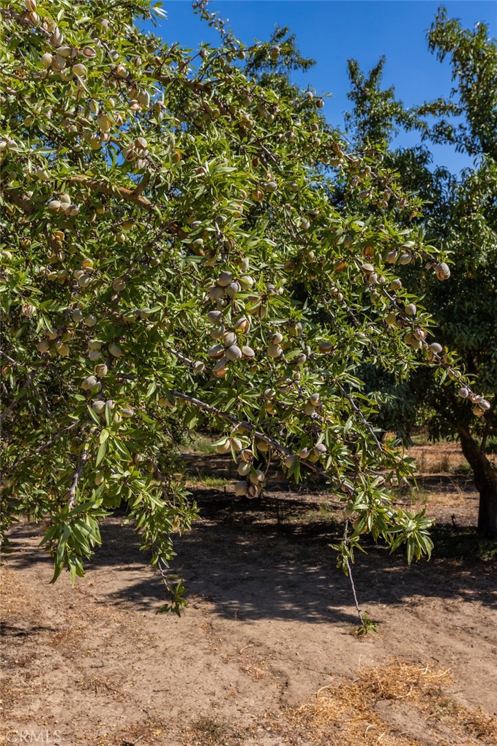 9337 Creekside Ln, Modesto, CA 95357