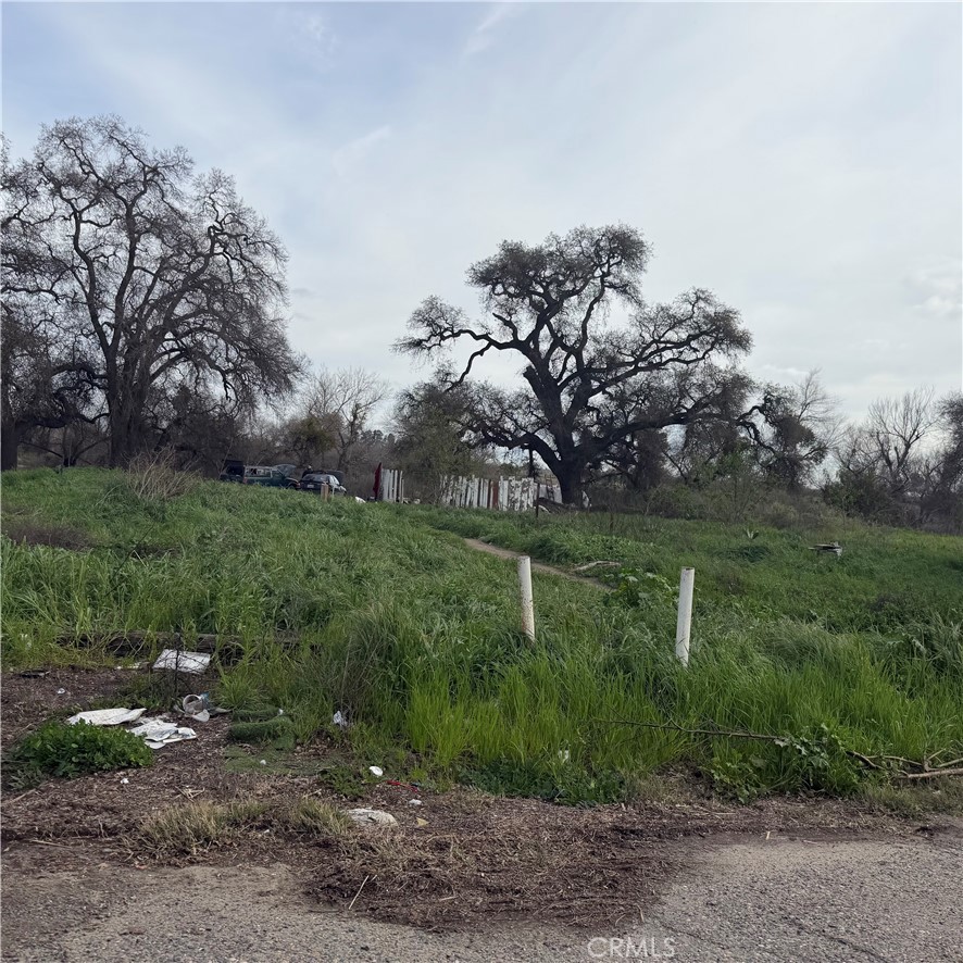 14200 Crows Landing, Crows Landing, CA 95313