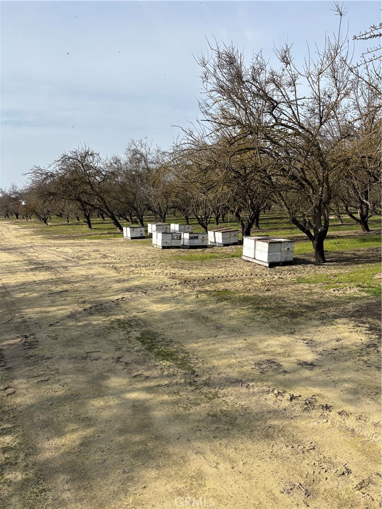 0 August, Delhi, CA 95315