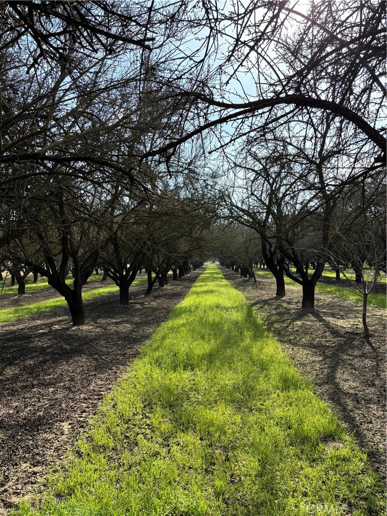 0 August, Delhi, CA 95315