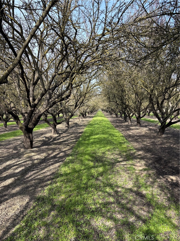 0 August, Delhi, CA 95315