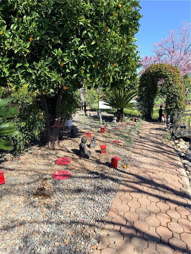 9556 Banderilla, La Grange, CA 95329