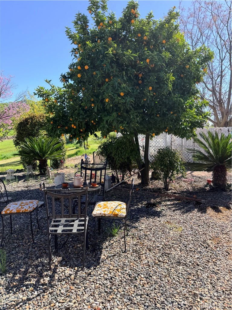 9556 Banderilla, La Grange, CA 95329