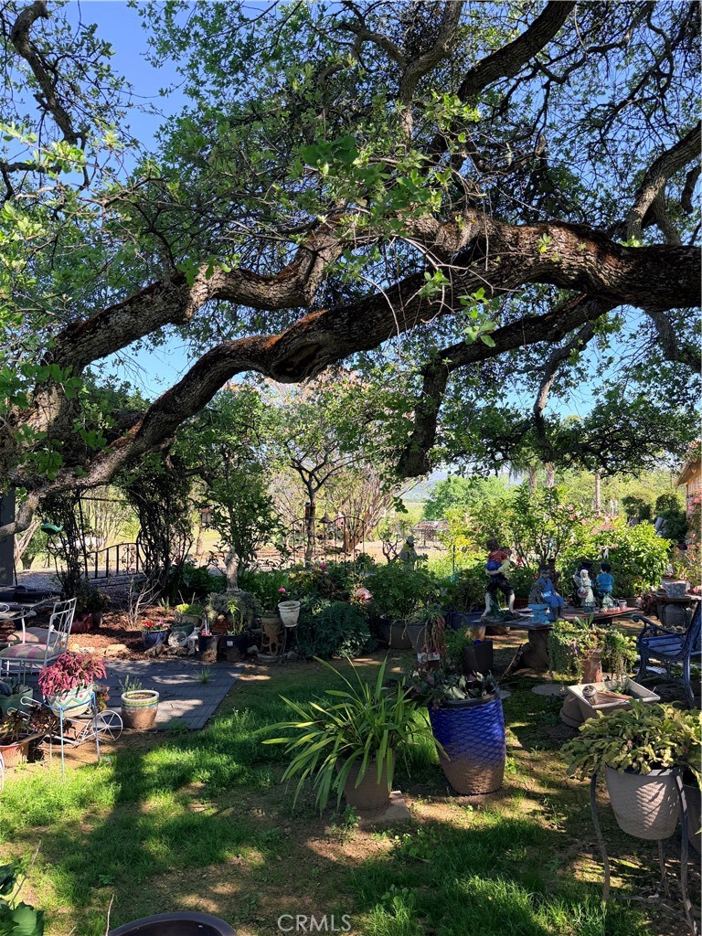 9556 Banderilla, La Grange, CA 95329