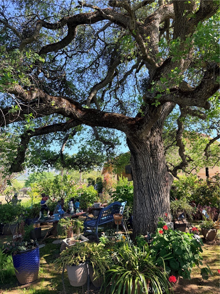 9556 Banderilla, La Grange, CA 95329