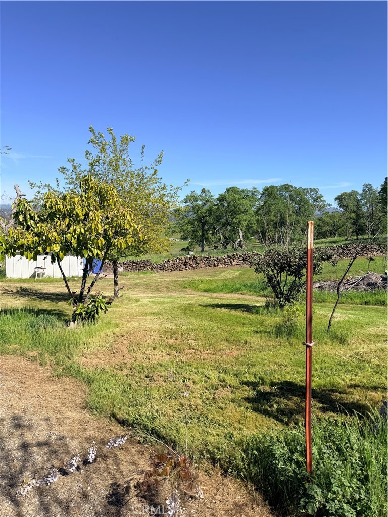 9556 Banderilla, La Grange, CA 95329