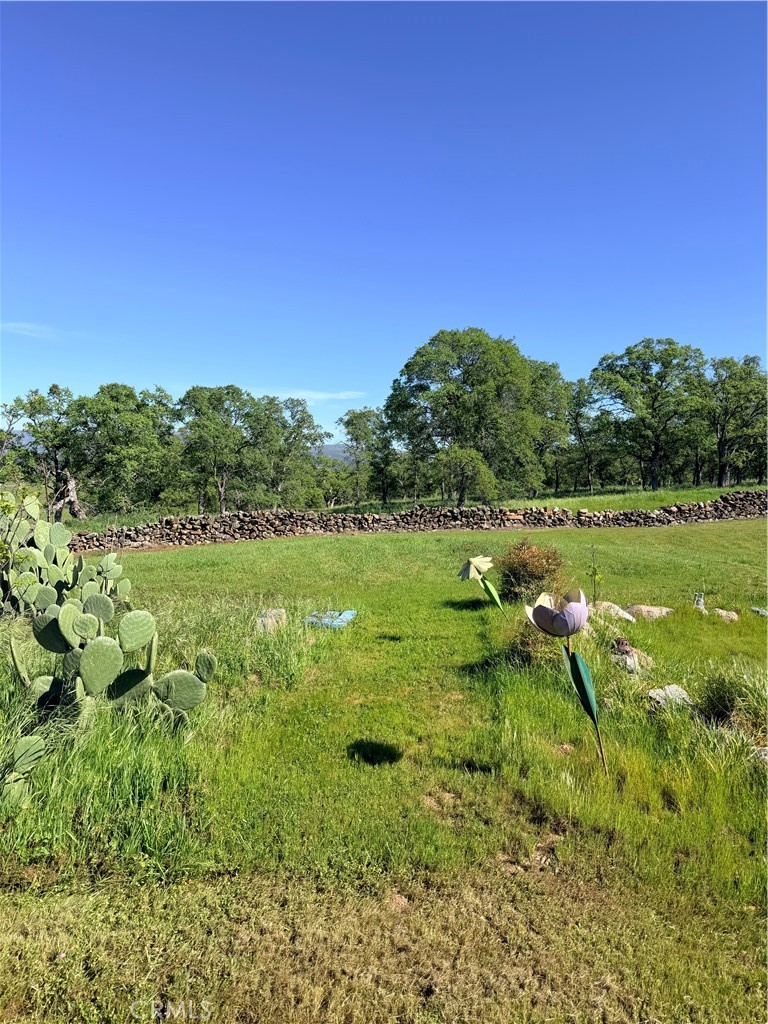 9556 Banderilla, La Grange, CA 95329