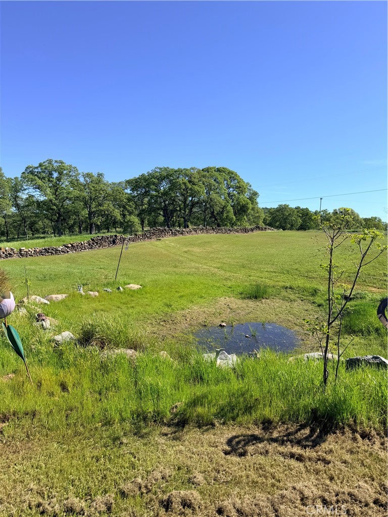 9556 Banderilla, La Grange, CA 95329