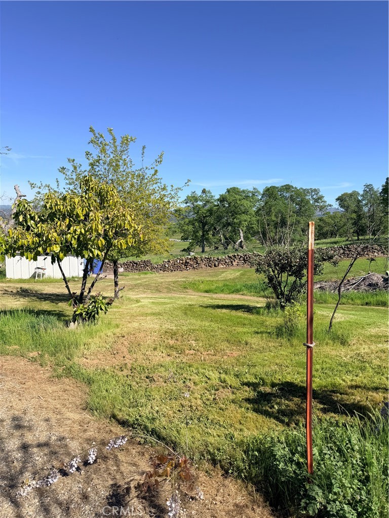 9556 Banderilla, La Grange, CA 95329