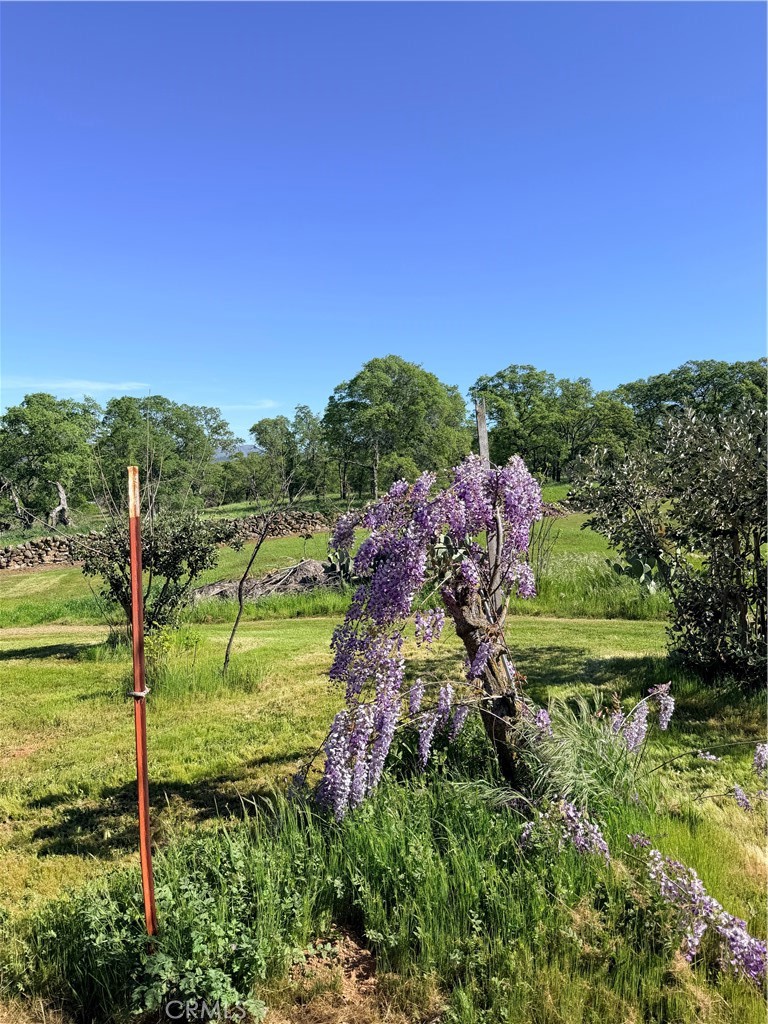 9556 Banderilla, La Grange, CA 95329